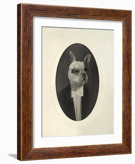 English Bulldog-J Hovenstine Studios-Framed Giclee Print