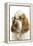 English Cocker Spaniel Wearing Glasses-null-Framed Premier Image Canvas