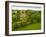 English Cottage in the Countryside-Tim Kahane-Framed Photographic Print