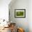 English Cottage in the Countryside-Tim Kahane-Framed Photographic Print displayed on a wall