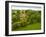 English Cottage in the Countryside-Tim Kahane-Framed Photographic Print