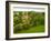 English Cottage in the Countryside-Tim Kahane-Framed Photographic Print