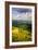 English Countryside-Mark Sunderland-Framed Photographic Print