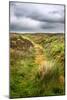 English Countryside-Mark Sunderland-Mounted Photographic Print