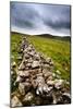 English Countryside-Mark Sunderland-Mounted Photographic Print