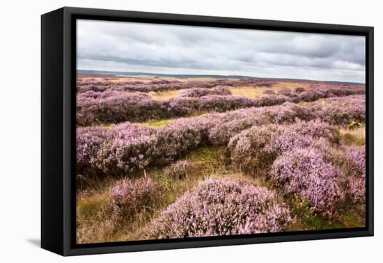 English Countryside-Mark Sunderland-Framed Premier Image Canvas