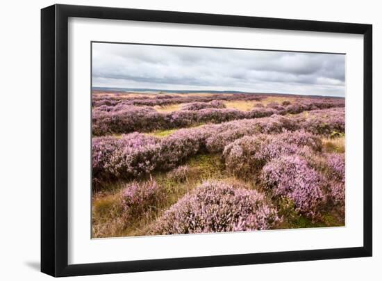 English Countryside-Mark Sunderland-Framed Photographic Print