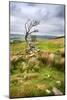 English Countryside-Mark Sunderland-Mounted Photographic Print