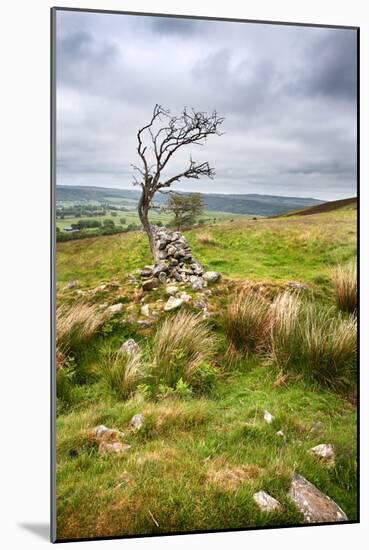 English Countryside-Mark Sunderland-Mounted Photographic Print