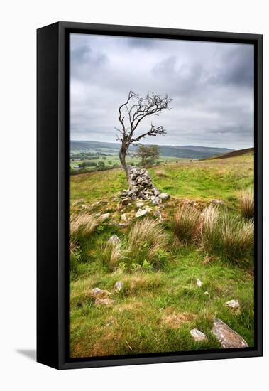 English Countryside-Mark Sunderland-Framed Premier Image Canvas