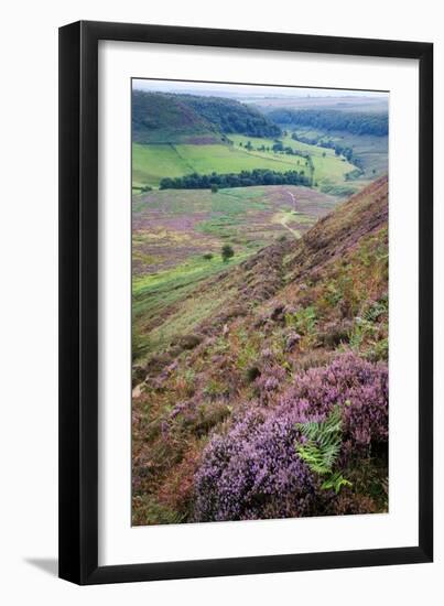 English Countryside-Mark Sunderland-Framed Photographic Print