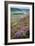 English Countryside-Mark Sunderland-Framed Photographic Print