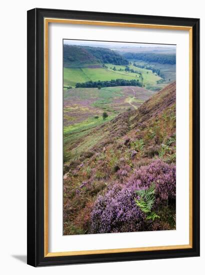 English Countryside-Mark Sunderland-Framed Photographic Print