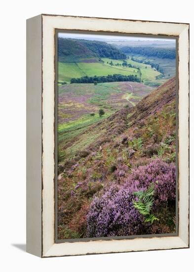 English Countryside-Mark Sunderland-Framed Premier Image Canvas