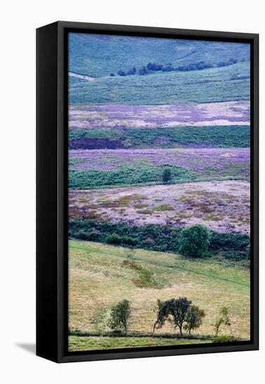 English Countryside-Mark Sunderland-Framed Premier Image Canvas