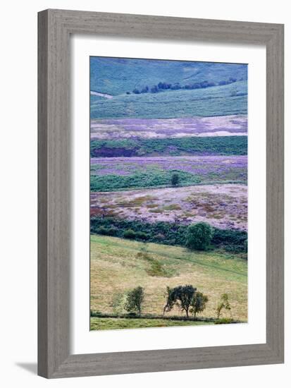 English Countryside-Mark Sunderland-Framed Photographic Print