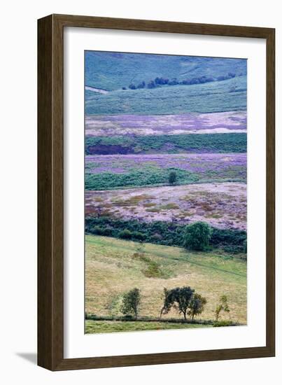 English Countryside-Mark Sunderland-Framed Photographic Print