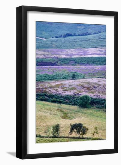 English Countryside-Mark Sunderland-Framed Photographic Print