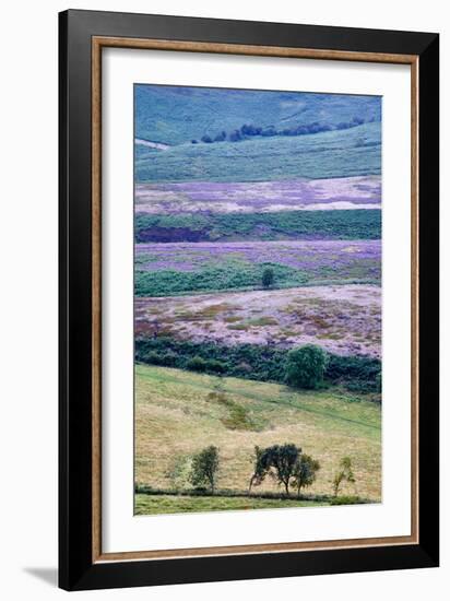 English Countryside-Mark Sunderland-Framed Photographic Print