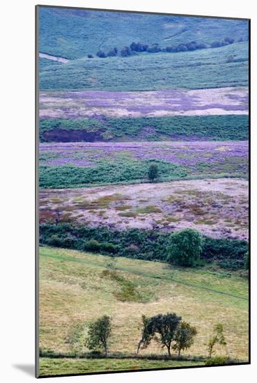 English Countryside-Mark Sunderland-Mounted Photographic Print