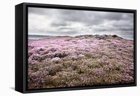 English Countryside-Mark Sunderland-Framed Premier Image Canvas