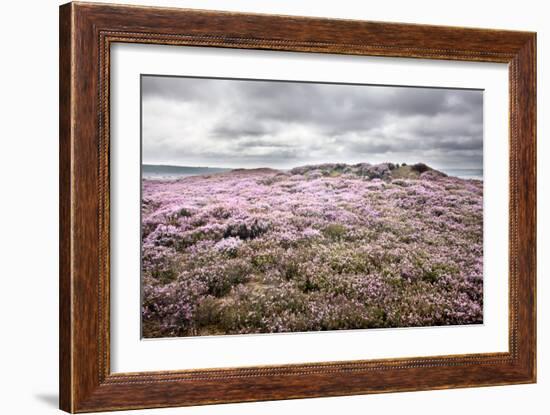 English Countryside-Mark Sunderland-Framed Photographic Print