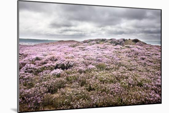 English Countryside-Mark Sunderland-Mounted Photographic Print