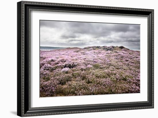 English Countryside-Mark Sunderland-Framed Photographic Print