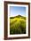 English Countryside-Mark Sunderland-Framed Photographic Print