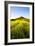 English Countryside-Mark Sunderland-Framed Photographic Print