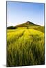 English Countryside-Mark Sunderland-Mounted Photographic Print