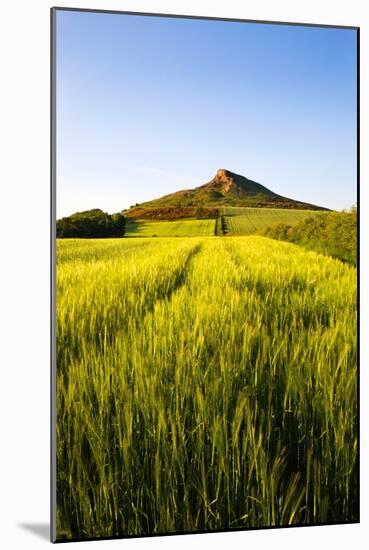 English Countryside-Mark Sunderland-Mounted Photographic Print