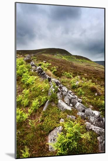 English Countryside-Mark Sunderland-Mounted Photographic Print