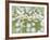 English Daisies-Don Paulson-Framed Giclee Print