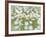 English Daisies-Don Paulson-Framed Giclee Print