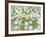 English Daisies-Don Paulson-Framed Giclee Print