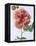 English Elegance Rose-Clay Perry-Framed Premier Image Canvas