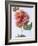 English Elegance Rose-Clay Perry-Framed Photographic Print