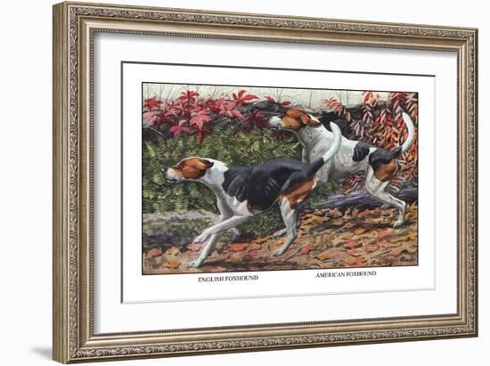 English Foxhound and American Foxhound-Louis Agassiz Fuertes-Framed Art Print
