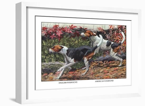 English Foxhound and American Foxhound-Louis Agassiz Fuertes-Framed Art Print