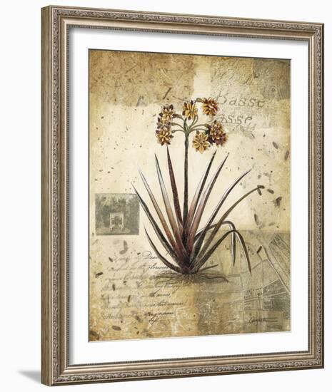 English Garden II-Augustine-Framed Giclee Print