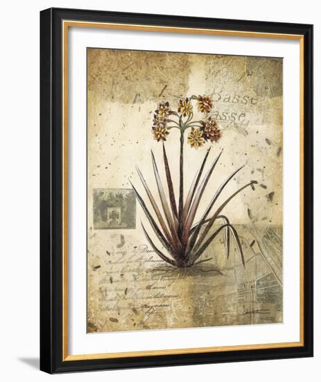 English Garden II-Augustine-Framed Giclee Print