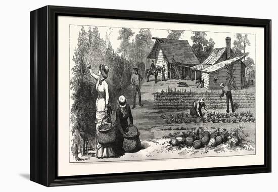 English Garden. Scenes Rugby, the English Colony Tennessee, 1880, USA, America-null-Framed Premier Image Canvas