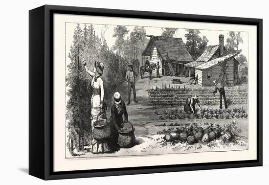 English Garden. Scenes Rugby, the English Colony Tennessee, 1880, USA, America-null-Framed Premier Image Canvas