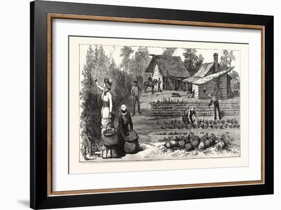 English Garden. Scenes Rugby, the English Colony Tennessee, 1880, USA, America-null-Framed Giclee Print