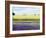 English Lavender Field 2-Toula Mavridou-Messer-Framed Photographic Print