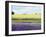 English Lavender Field 2-Toula Mavridou-Messer-Framed Photographic Print