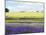 English Lavender Field 2-Toula Mavridou-Messer-Mounted Photographic Print