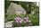 English Limestone Cottage, Cotswold Cottage, Greenfield, Wyandotte, Michigan, USA-Cindy Miller Hopkins-Mounted Photographic Print