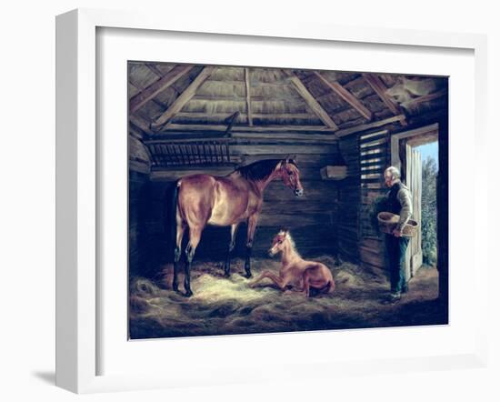 English Mare with Her Foals, 1833-Albrecht Adam-Framed Giclee Print